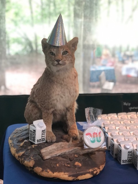 Thank you to all who came out and celebrated 50 years of Woodcock Nature Center, and thank you to all who have donated to help carry on the tradition for 50 more years!