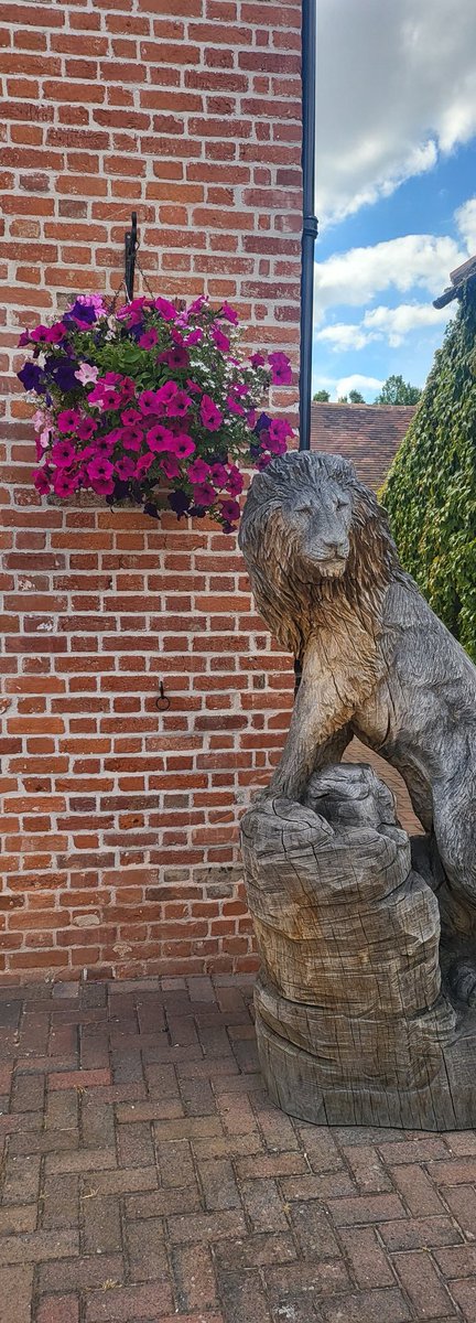 jamesbarber1980's tweet photo. We want to reward our loyal customers!

So.....for your chance to win a champagne brunch for 2,like this post, tag us in a picture of you with our Lion  with the hashtags #thelioneastbegholt &amp; #brunchatthelioneastbergholt we will draw a winner on 31st August! https://t.co/ekcph4o3qS