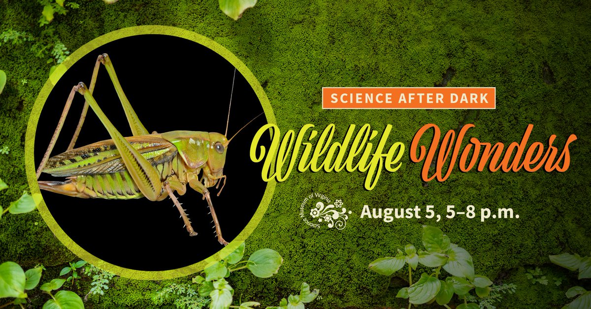 ScienceMusofVA's tweet photo. Save the date: the August Science After Dark is going to be wild and wonderful!
https://t.co/qgftDScmTx
#rva #FridayFunday #ScienceAfterDarkRVA #SummertimeScience https://t.co/HbyhjpDNfp