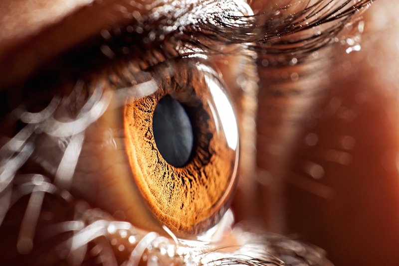 Web: …hthalmology.peersalleyconferences.com
Life after death for the human eye: Vision scientists revive light-sensing cells in organ donor eyes #Scleritis #Uveitis #Inflammation #OcularOncology #pathology #biochemistry #VitreousDisorders #lensdisorder #retina #cellbiology #Immunology #cataract