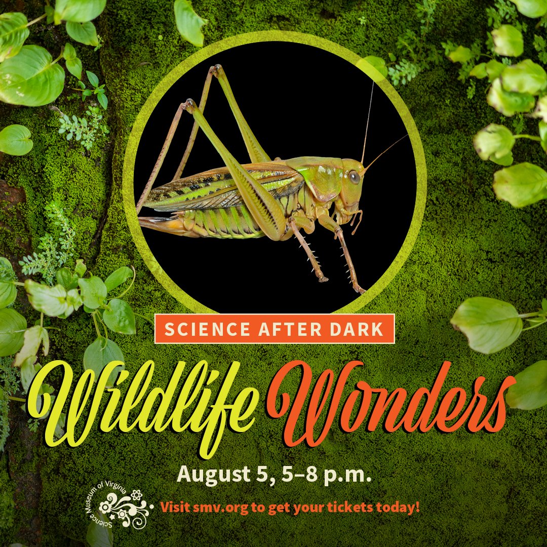 ScienceMusofVA's tweet photo. Save the date: the August Science After Dark is going to be wild and wonderful!
https://t.co/qgftDScmTx
#rva #FridayFunday #ScienceAfterDarkRVA #SummertimeScience https://t.co/Qzxg2A6bNz