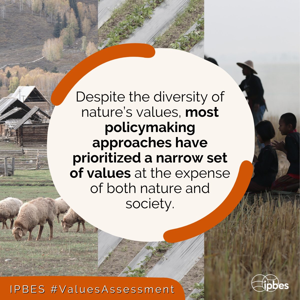 The way nature is valued in political and economic decisions is both a key driver of the global biodiversity crisis AND a vital opportunity to address it, acc. to the newly released @IPBES #ValuesAssessment 🌱📗

Access the report 👉 bit.ly/IPBES_VA
