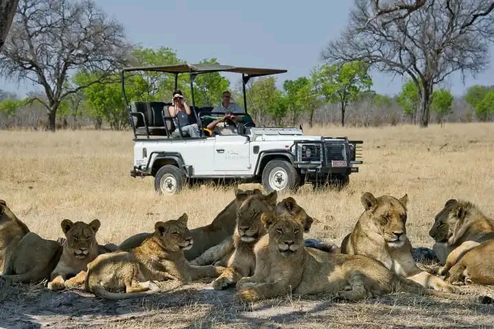 SamanyangaTours's tweet photo. SOME OF THE BEST SAFARI CAMPS IN ZIMBABWE'S HWANGE NATIONAL PARK.
~Somalisa Camp(Luxury Tented Camp)
~Davison's Camp(Classic Tented Camp)
#africa #zimbabwe #somalisacamp #davisonscamp #tentedcamps #bushcamps #outdoors #camplife #overlandafrica https://t.co/ULZ5jrAxo4