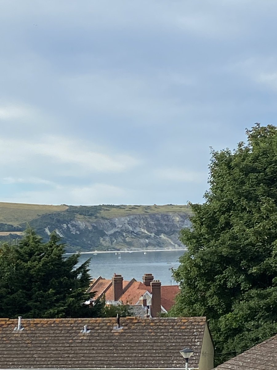 Sarah Crofts tweet media