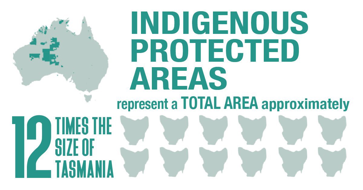 Country Needs People tweet media