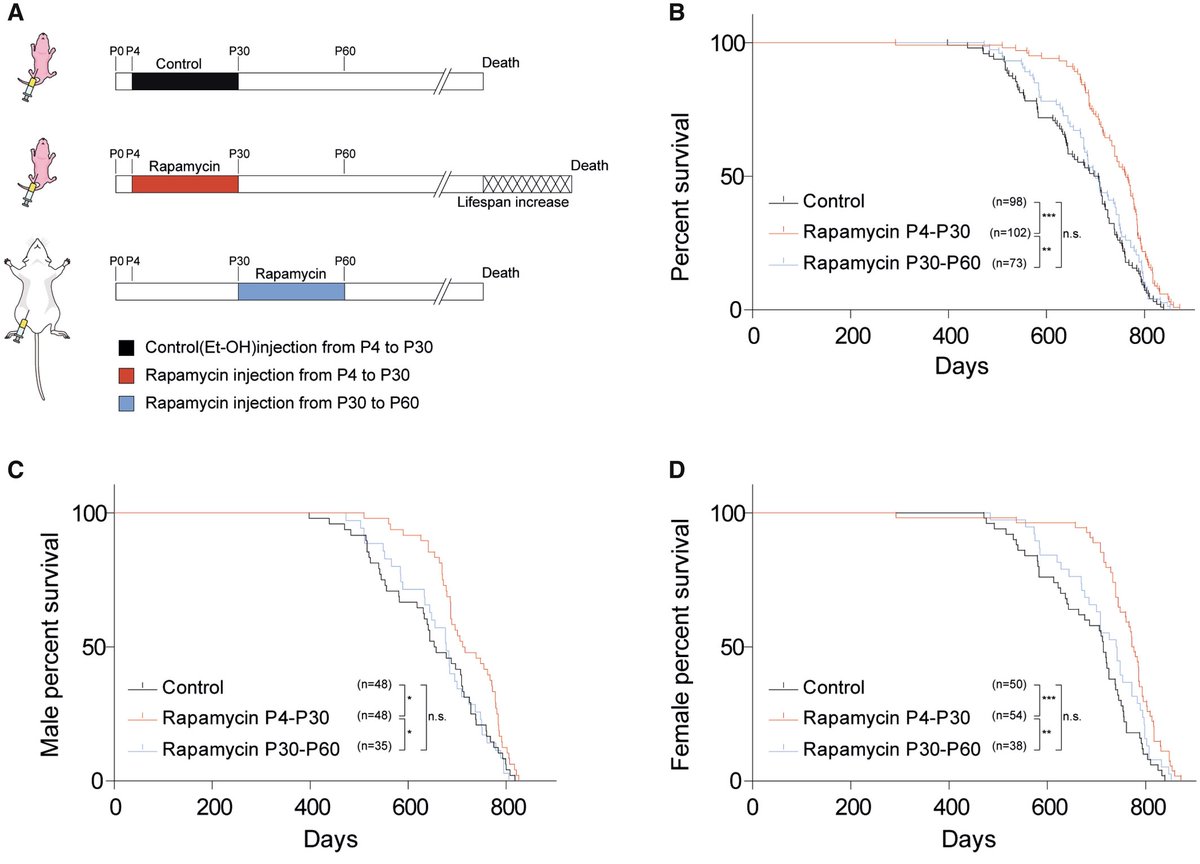 David Sinclair tweet media