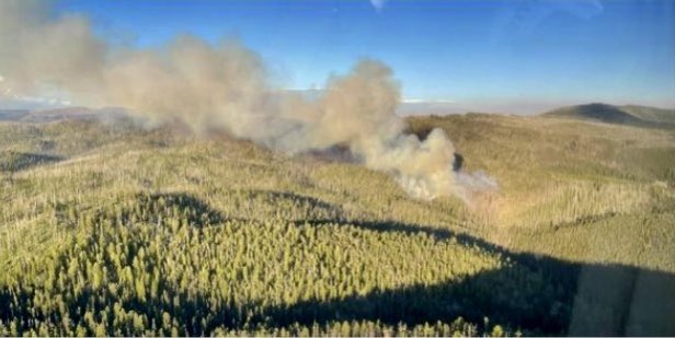 HotshotWake's tweet photo. New Start: The Hog Trough Fire is on the Bitterroot National Forest in Montana. The fire is lighting cause and suppression efforts are under way.  #hogtroughfire @BitterrootNF #bitterrootnationalforest #wildfire #montana #mt #franklin https://t.co/I05Naw2ESo