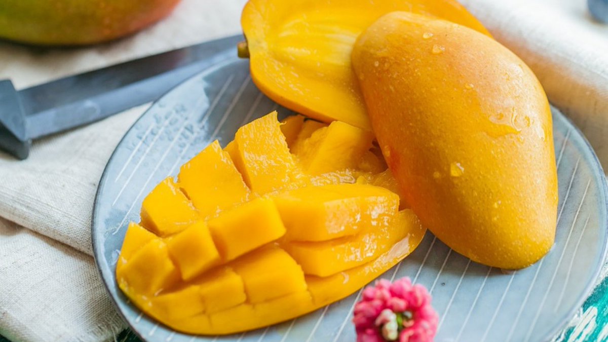 fytworx's tweet photo. 5 Benefits of Mangos🥭

• High in Antioxidants
• Supports Heart Health
• Improves Digestive Health
• Supports Eye Health
• Improves Hair and Skin Health

Do you eat Mangos?

#Mango #mangoes #HealthyLiving #HealthyFood #Food #fruits https://t.co/UDeSEjpwbQ