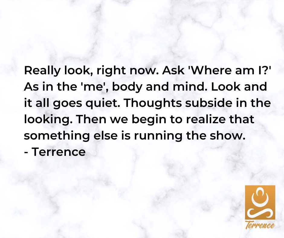 non_terry's tweet photo. Let's have a look at this idea of a me and challenge it - Am I the 'doer' in charge of the body? Am I in control of the thoughts? Do I have freewill? Is there really a personal self, a 'me'? 
- Terrence https://t.co/D4ah15DLOy