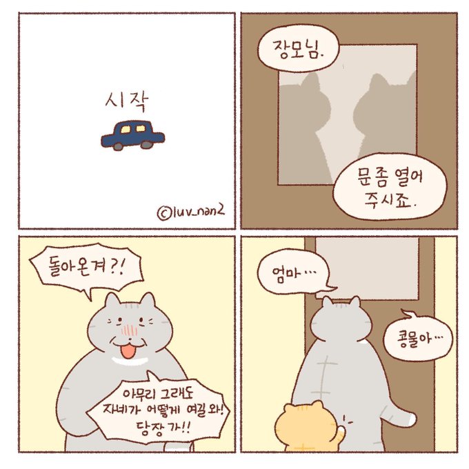 콩물이의 시작🚙 