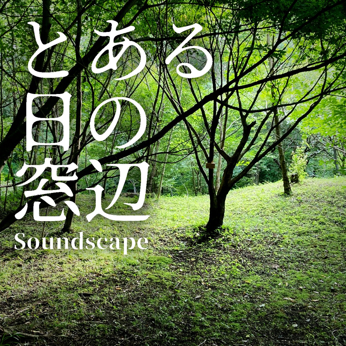 toaruhinomadobe's tweet photo. 音景色追加しました
#ポッドキャスト 【 #とある日の窓辺 】
"とある晴れた日の森のベンチ(ep61)"

「夏らしい音がする」

とある日常の音景色です
#音景色 #soundscape #癒し #ASMR

itunes
https://t.co/WSM7nyJXwn

anchor
https://t.co/gUodBOTFnu

Spotify
https://t.co/rTllx7sNeg https://t.co/SPa1VsLVUB