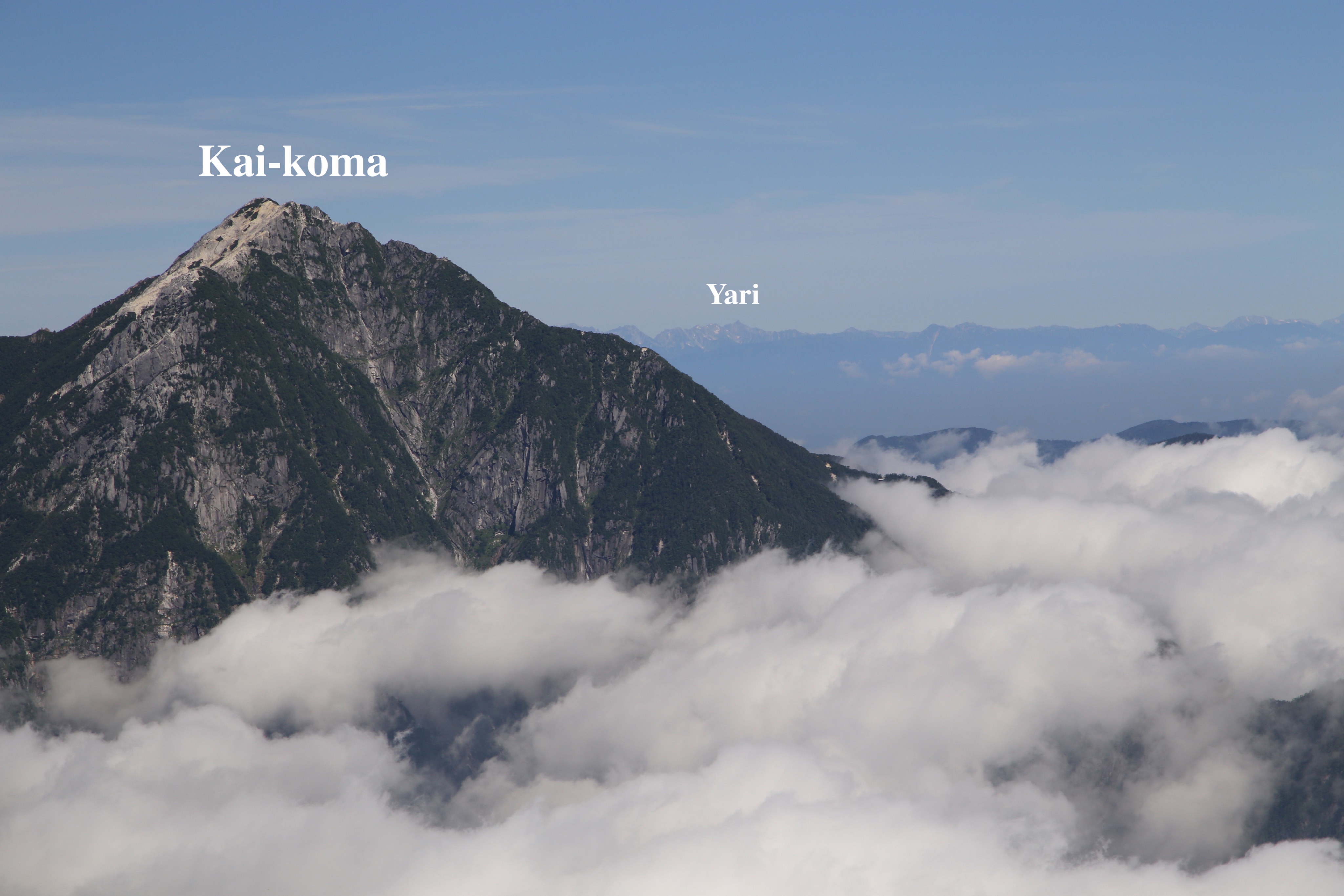 Wes Lang Hikinginjapan Twitter