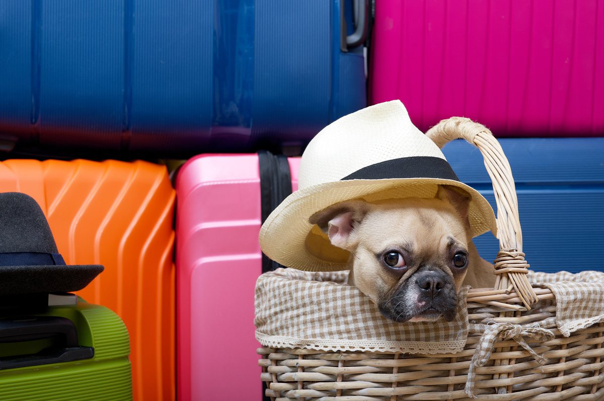 facesottawa's tweet image. 🚨 WIN A TRIP TO EUROPE OR $5000 CONTEST:  RT for chance to win a trip for 2 to Europe ( ✈️, 5-night hotel + $1000 spending) or $5000 cash - Presented by @MealPrepOttawa #ottawa