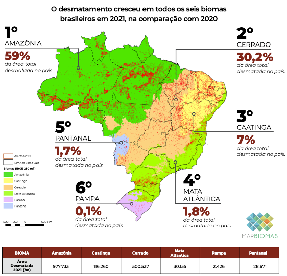 tassoazevedo's tweet photo. O desmatamento aumentou 20% no Brasil em 2021.  Crescimento em todos os biomas. Em 3 anos a área rerrubada chegou a 42 mil km2, quase um estado RJ. Mais de 98% com indicios de ilegalidade. Só 27% foi fiscalizado. Impunidade reina. @mapbiomas
https://t.co/3BkFxIrH0v https://t.co/0OHPXLGCpZ