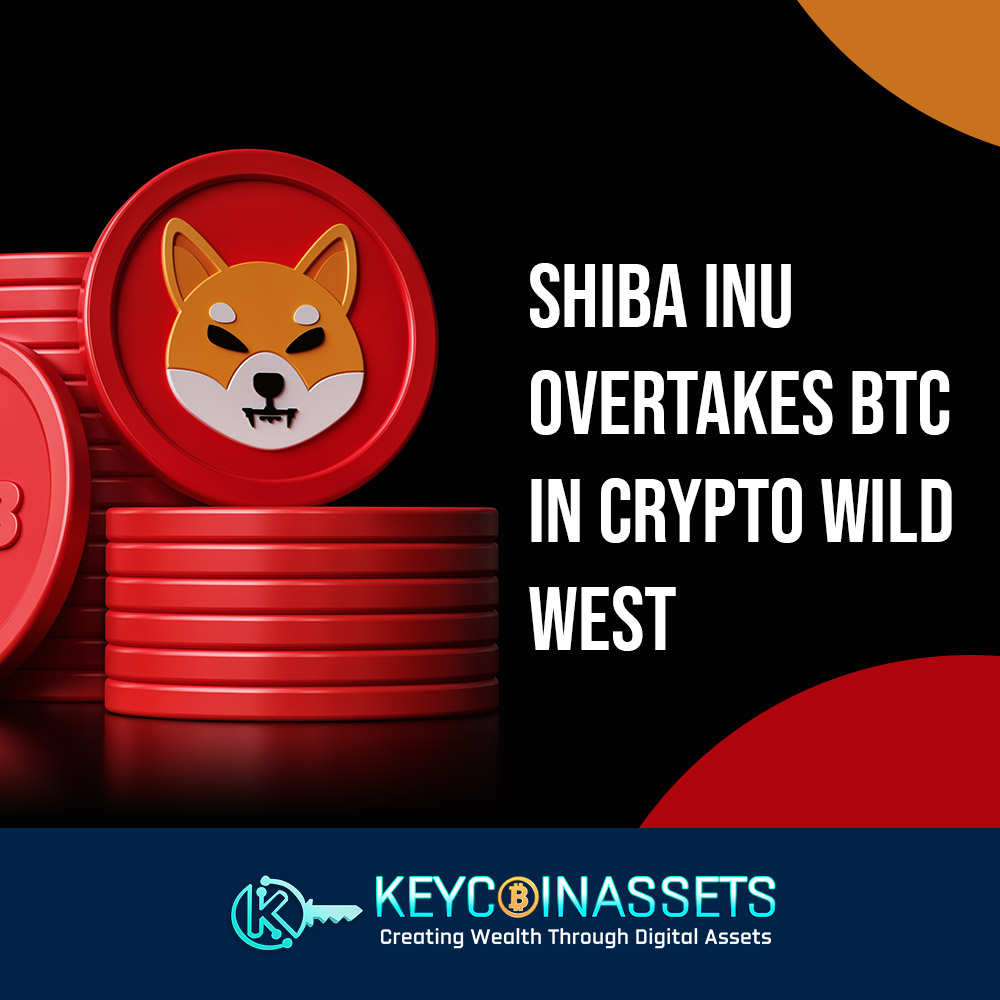 While crypto investors are expecting a further crypto crash of BTC, altcoin Shiba INU is overtaking and cementing its status as a serious cryptocurrency.

#AnalyticsInsight #crypto #btc #altcoin #cryptocurrency