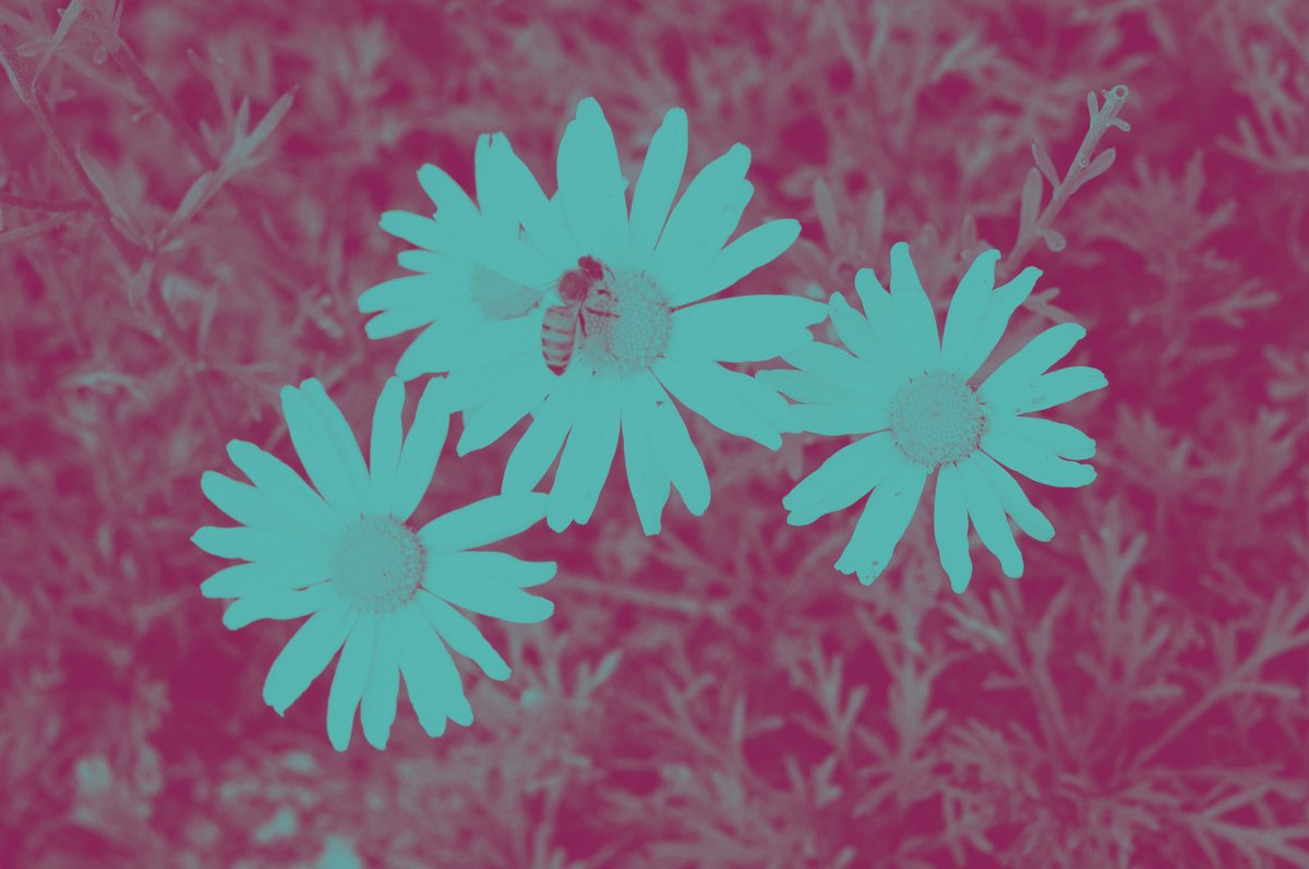 Would you like to learn more about #tinnitus? Check out Soundfair's new online courses: zcu.io/BhsY