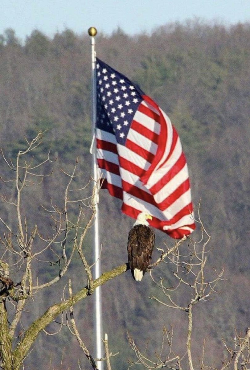 Now THAT'S a pic worth posting!! God bless our United States of America..