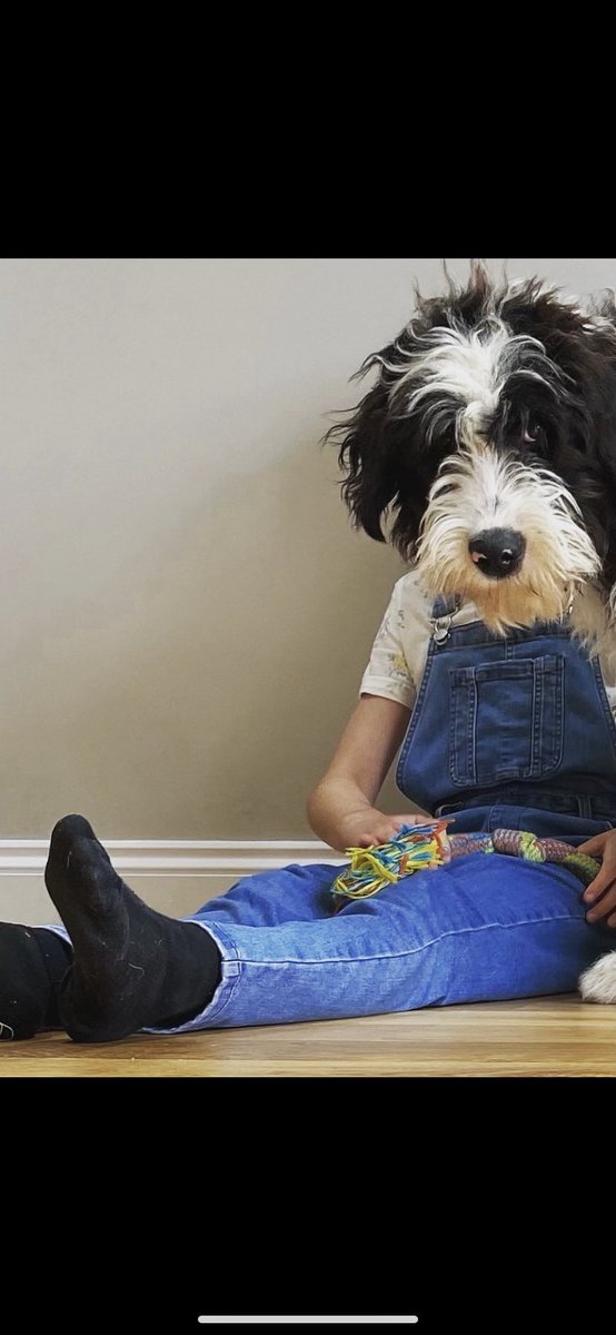 MrsWteach23's tweet image. Perfect timing 🤣 #art #arthomework #photography #popart #teacher #education