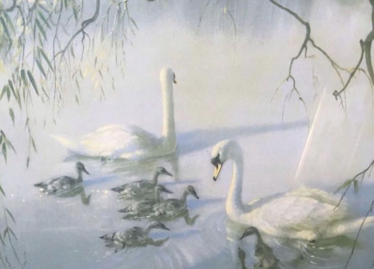 swans in paintings; so graceful.