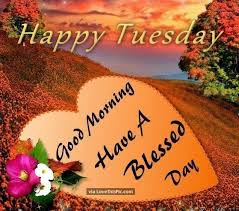 ranigill7's tweet photo. #HappyTuesday #HaveaBlessed day🧡🧡🧡🤍🤍🧡🧡🧡 https://t.co/CsxmKskpAf