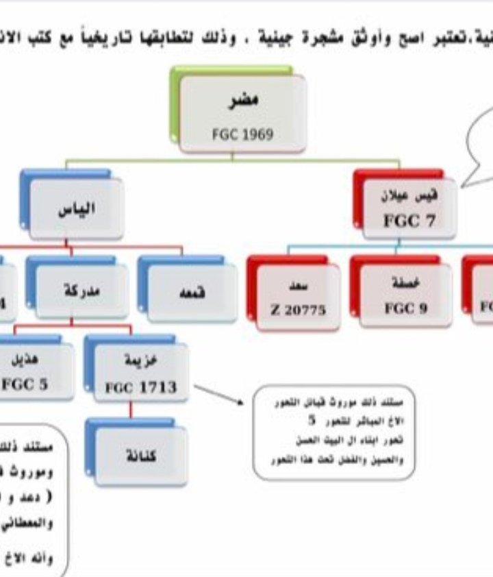 هذا هو. و الذي هو انا عليه من نسب حسني هاشمي قرشي و نلقب في ديارنا ب* الأسياد الأشراف المرابطين * و الجد الولي الصالح سيدي بختي *