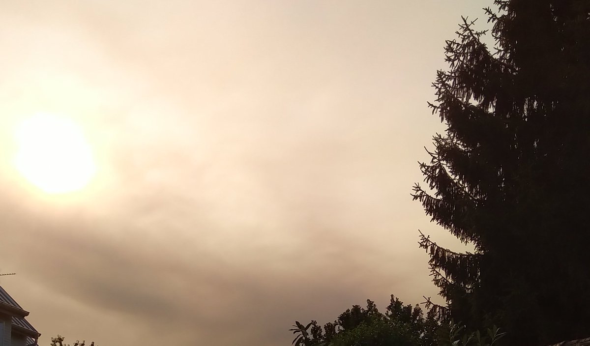 lperpignaiban's tweet photo. Cette nuit, #Bordeaux s'endort enveloppée dans un nuage de fumée âcre, reflet d'une lointaine bataille qui se déroulait pourtant à ses portes. 

C'est une réalité, c'est notre époque. #DontLookUp https://t.co/Hij9T6YC34