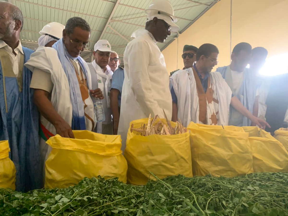 Prodefi_Mr's tweet photo. A Guerou, dans cet après-midi, le #Ministre de l'Agriculture, Son Excellence Monsieur Adama Bocar Socko s'est rendu au niveau des deux 4P; la #SMCF et l'usine de Fourrages du sud (#UFS) dans le cadre d'une visite des réalisations du #PRODEFI.
#IFAD https://t.co/g08p5Fsgzm
