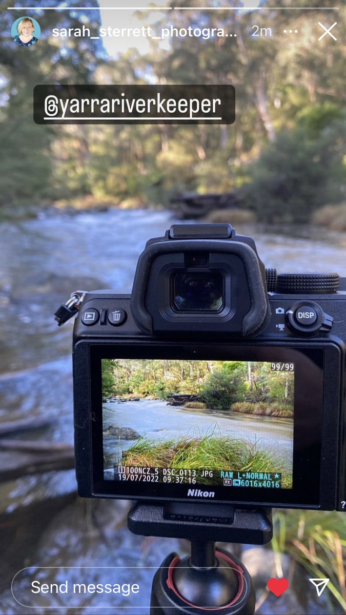 TheYarraRiver's tweet photo. We will launch our new strategic plan shortly. In the meantime here is a photo of the front cover being taken by the #verytalented @sarahsterrett75 this morning. #1degree #Yarra #Birrarung #Warburton #strategy https://t.co/eGL9m8HmEW