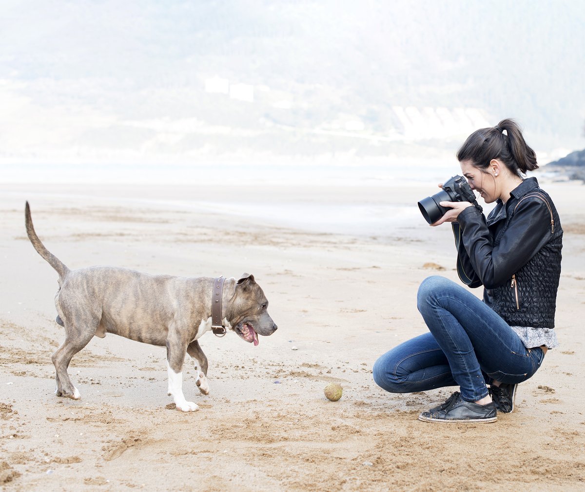 A big shout out to <a href="/TheOrvisCompany/">The Orvis Company</a> for giving back to the animals we all love! Proceeds from the Orvis Cover Dog contest are donated directly to canine cancer studies at Morris Animal Foundation, and it's raised almost $2 million to date.

Join the fun: coverdog.orvis.com