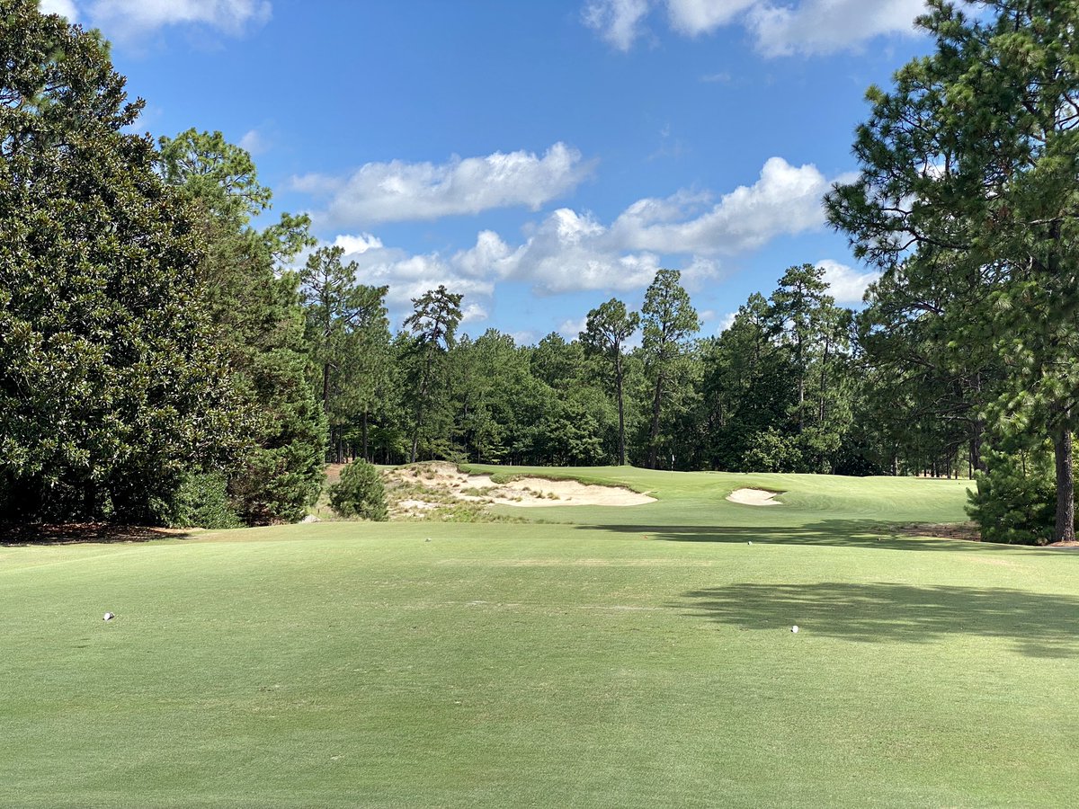 Tim Gavrich tweet media