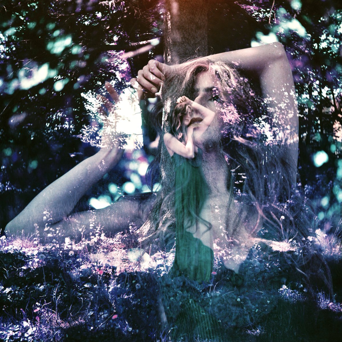 whateverforever tweet media