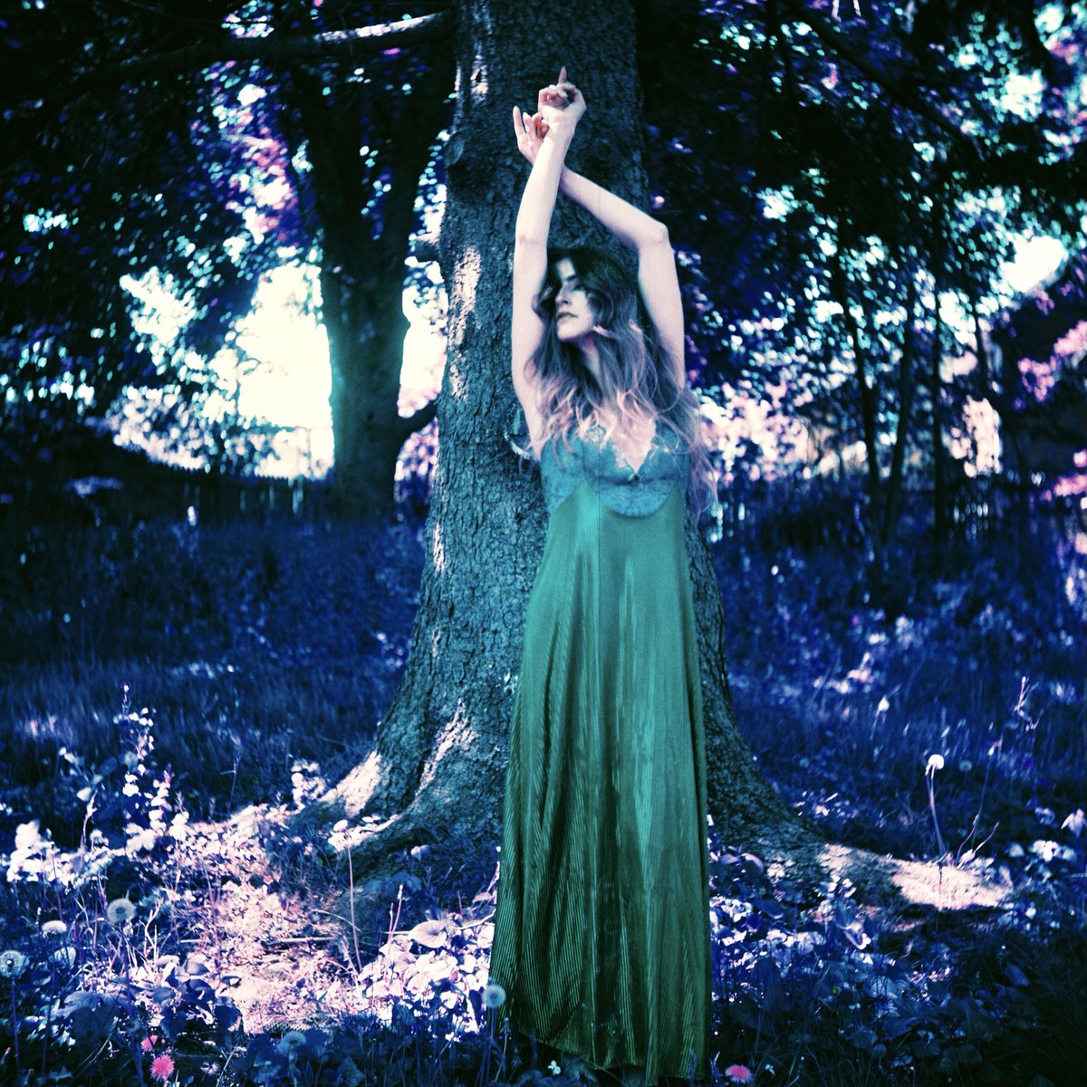 whateverforever tweet media