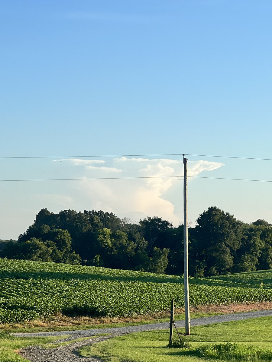 mattstj's tweet photo. @wxbrad Stanly County… thunderhead? https://t.co/7MFJWNWgeN