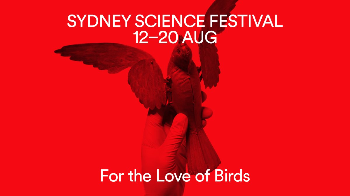 Hear from a panel of experts @Twitchathon @CharMcConaghy @jones_ann on why the citizen science of the backyard bird count is booming. Book now bit.ly/3yKMZ3P #SSF22