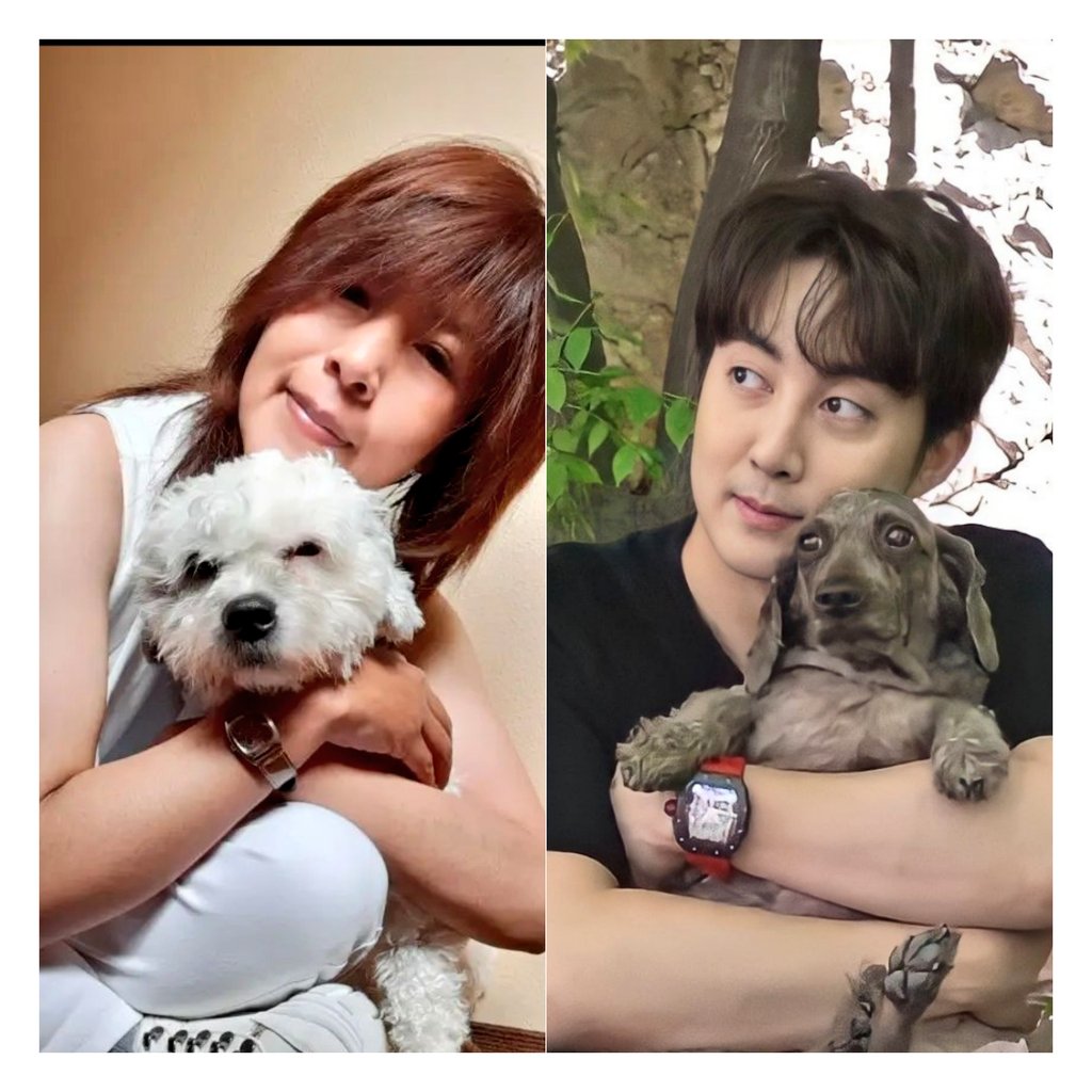 isita16_k's tweet photo. Me gusto mucho 🐶🐕 nuestros hijos perrunos 🥰🥰
#TripleSselcaDay 💚🥺✌️
#KimHyungJun 💚🐢 https://t.co/2PB7PUwmO5