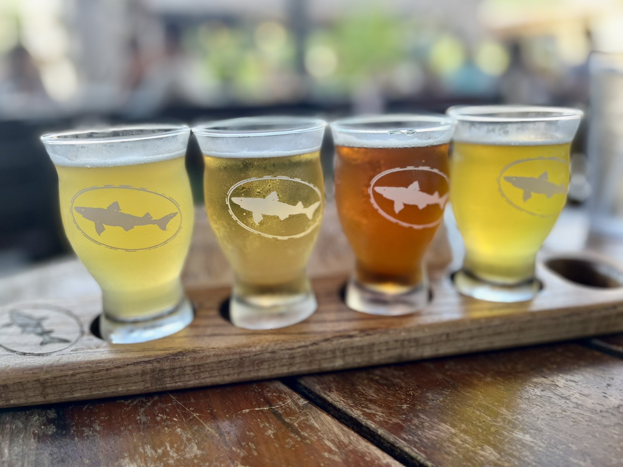 DOGFISH HEAD Rosabi tap STICKER decal craft beer dog fish brewing brewery 