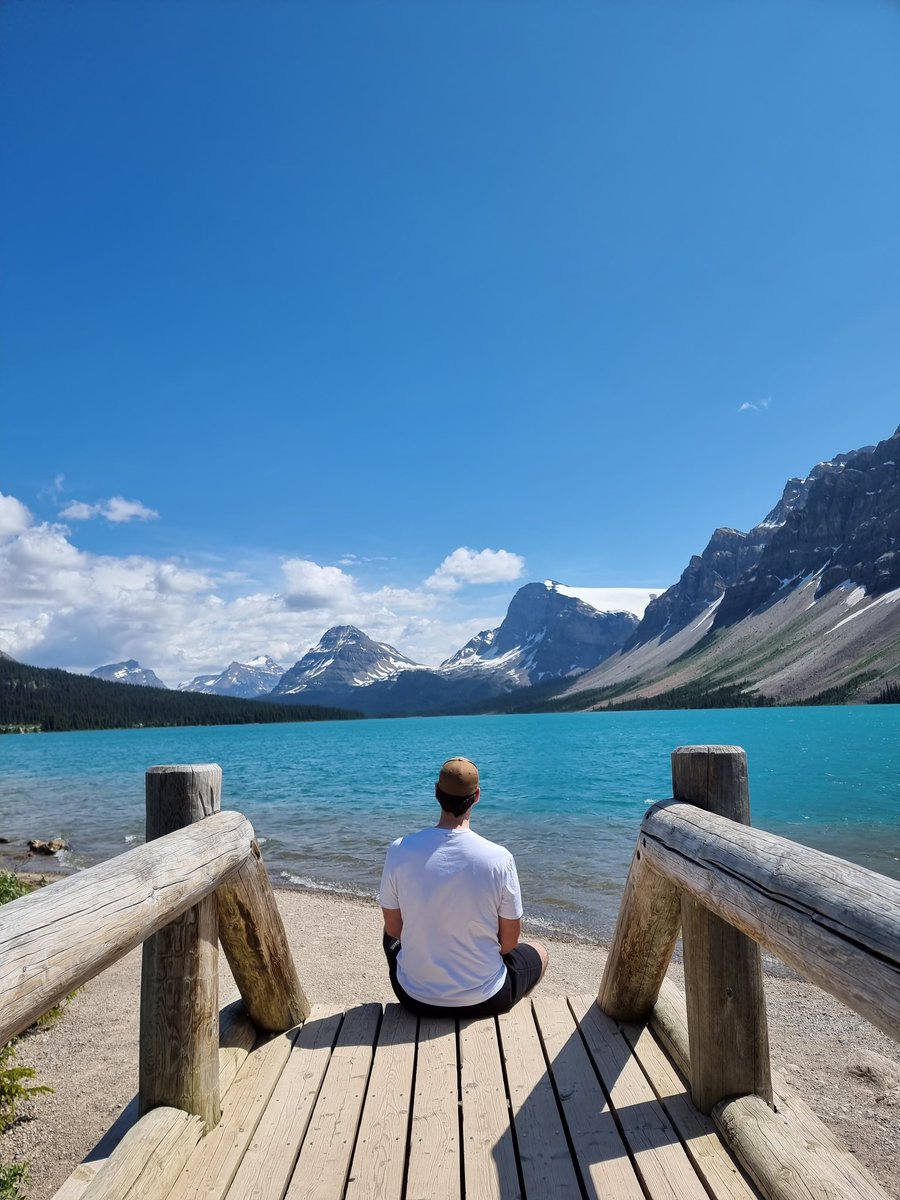 DIG Aussie Antics tweet media