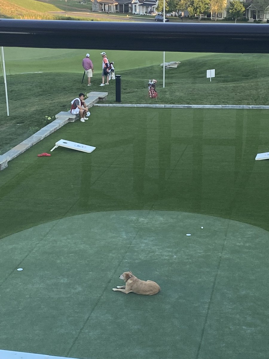 Chris Davenport tweet media