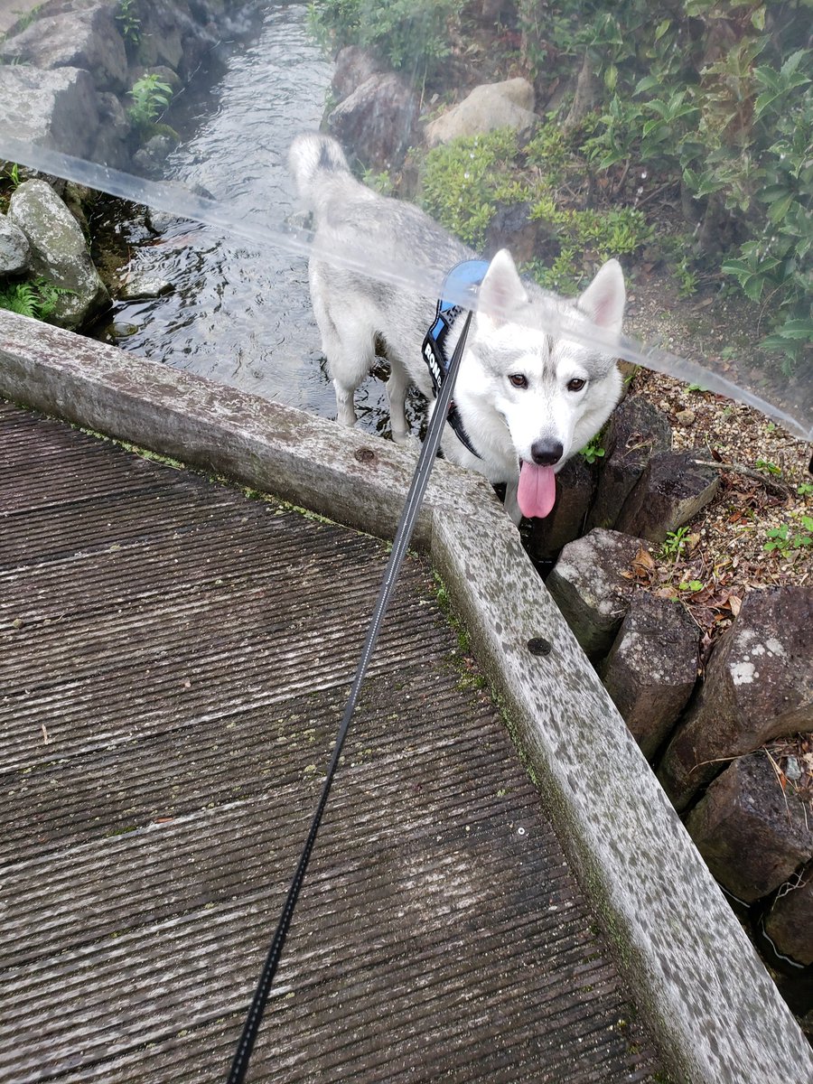 え～と
雨ですが入るんですね