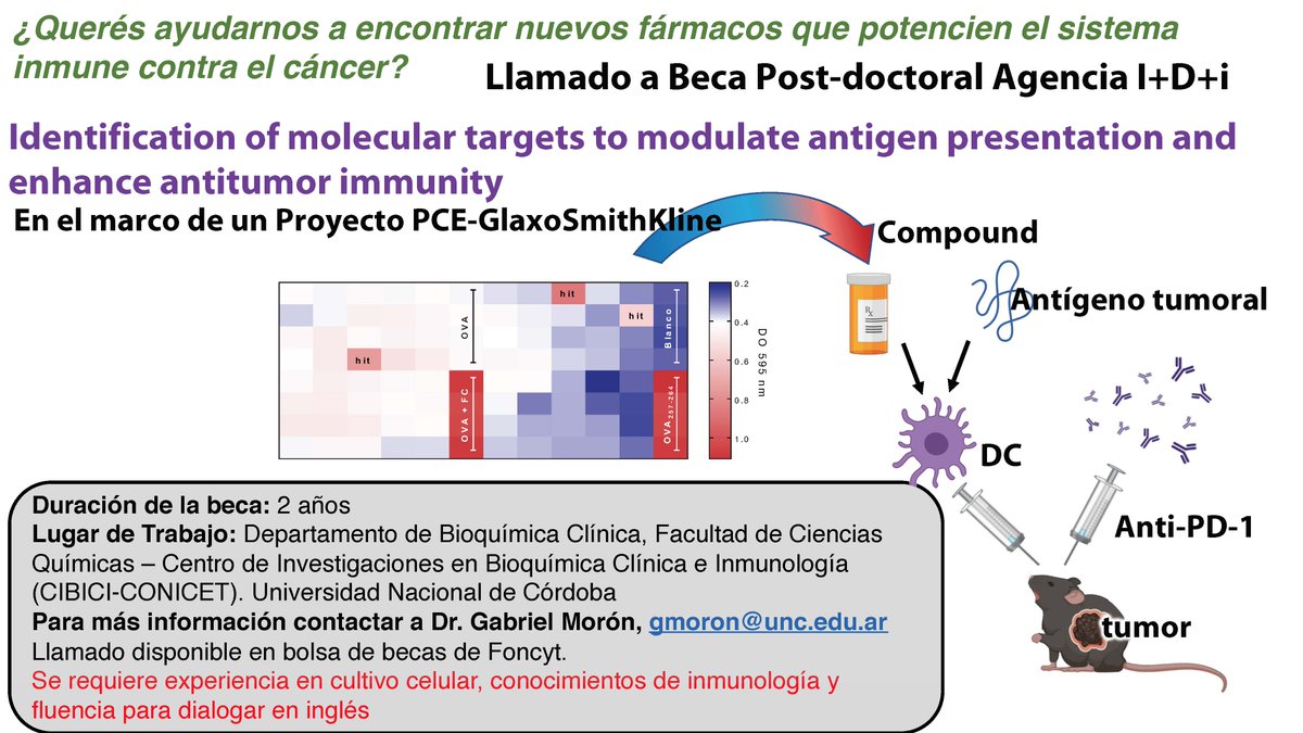 gabimoron's tweet photo. Hola! busco candidatos a presentarse a una beca postdoctoral ya otorgada. Por favor, les agradeceré difusión! https://t.co/YmperR1Hox