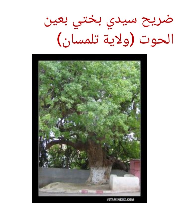 سيدي بختي بعين الحوت (ولاية تلمسان)

￼

ضريح سيدي بختي بعين الحوت (ولاية تلمسان)

<< شجرة يفوق سنها ألف سنة بعين الحوت (ولاية تلمسان)

عين سيدي منصور بعين الحوت (ولاية تلمسان) >>