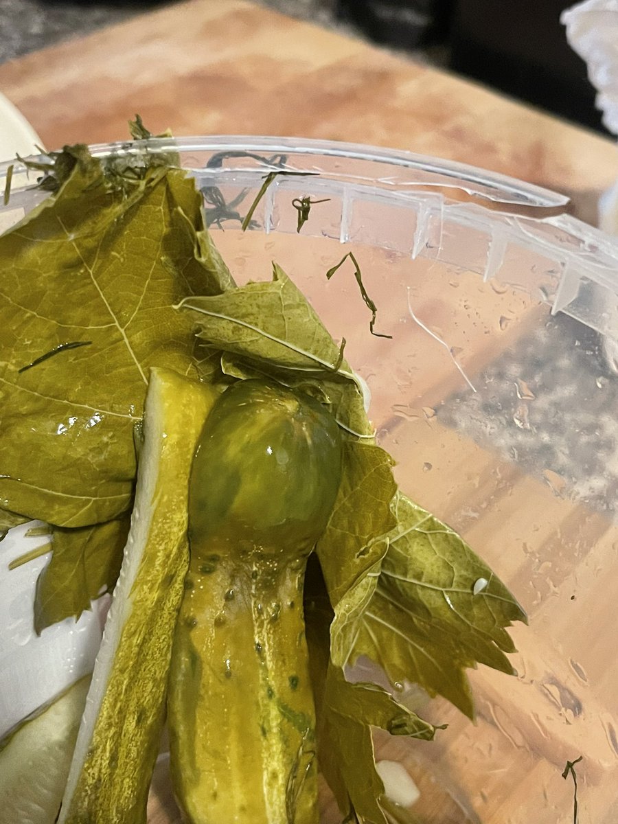 Melody Arayi tweet media