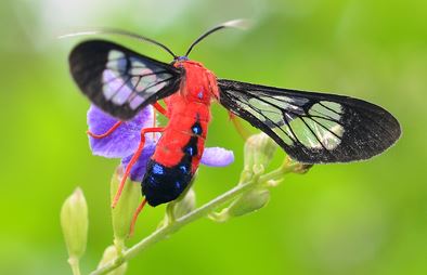 new blog post: on Neil Gaiman's writing tips.
 Put it aside. Read it pretending you've never read it before. Show it to friends whose opinion you respect and who like the kind of thing that this is. -> ejgwrites.blogspot.com <a href="/SCBWIRockyMtn/">SCBWI Rocky Mtn (NOT MONITORED)</a>
 #kidlit  <a href="/SCBWI/">scbwi</a> #fiction