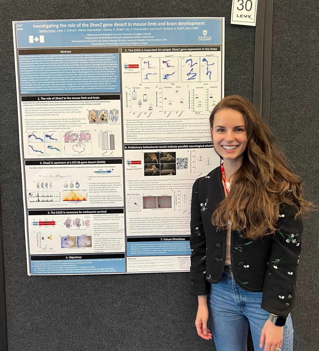 Carly Shae Sullivan tweet media