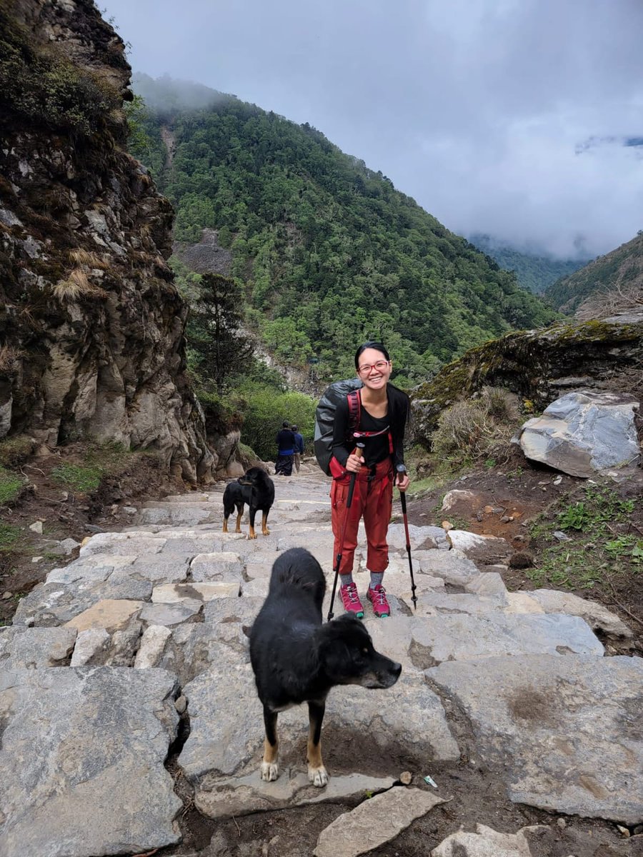 topoftheworldtr's tweet photo. Everest region trek in Summer with beautiful greenery and mountain views!!!  #topoftheworldtreks #everestregion #everestbasecamp #visitnepal2022 #trekking #himalayas https://t.co/DCZwk4YO13