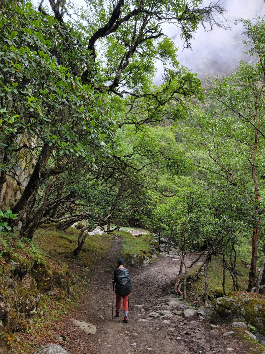 topoftheworldtr's tweet photo. Everest region trek in Summer with beautiful greenery and mountain views!!!  #topoftheworldtreks #everestregion #everestbasecamp #visitnepal2022 #trekking #himalayas https://t.co/DCZwk4YO13