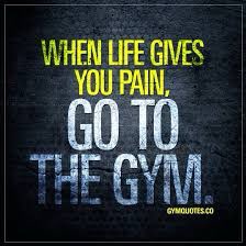 fitnesswithsus2's tweet photo. Everyone's aggression should be shown in the gym Which will effect in good way..#FitnessMotivation #Dailyroutinee #bodybuilding @fitnesswithsus2 https://t.co/ppHuoDgLpN