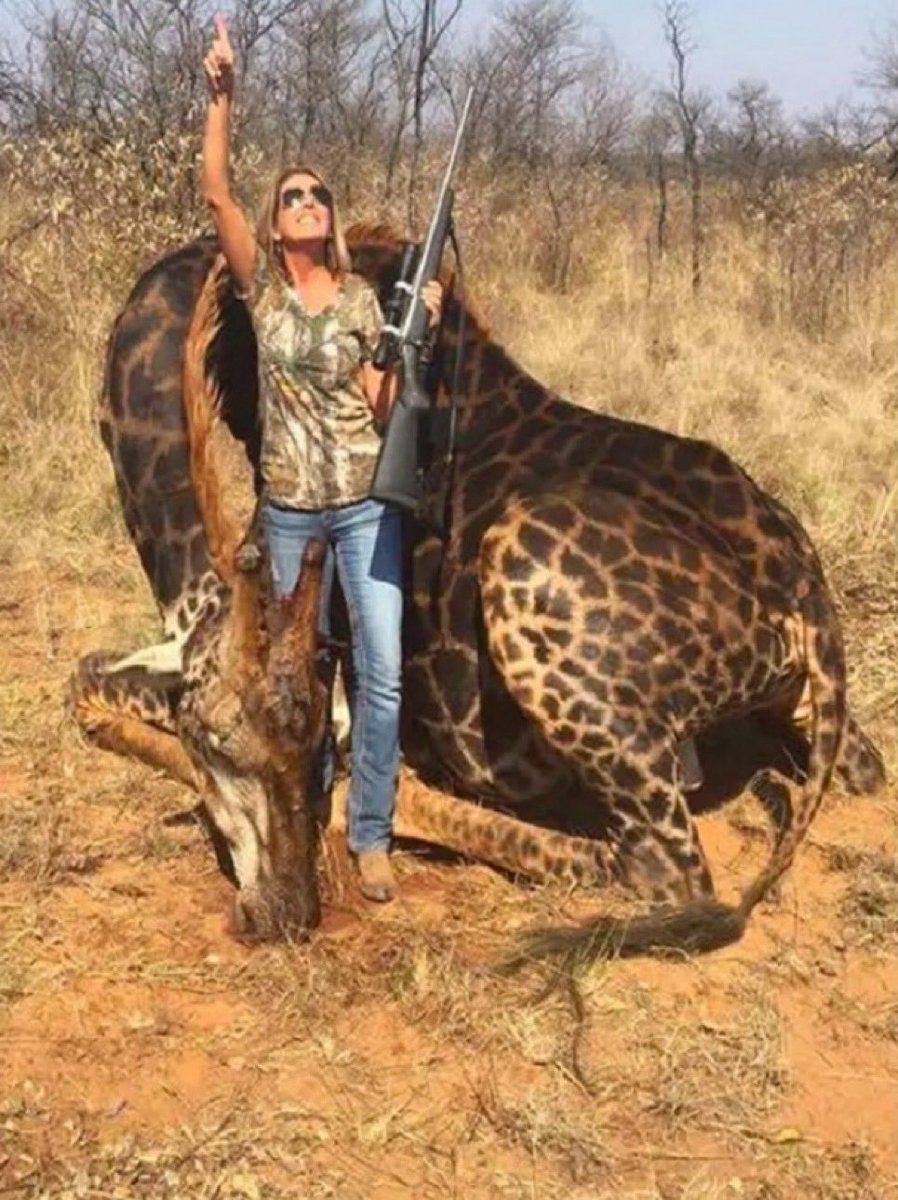 fireman452a's tweet image. Please Retweet if you believe there should be a ban on trophy hunting!!   

Her name, Tess Thompson Talley.