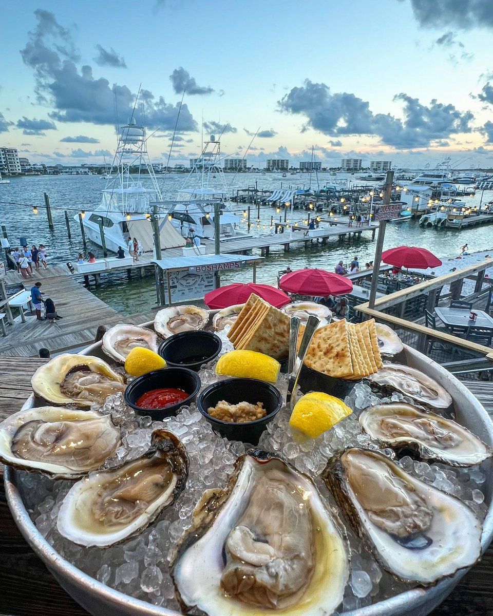 MeatChurch's tweet image. My happy place.