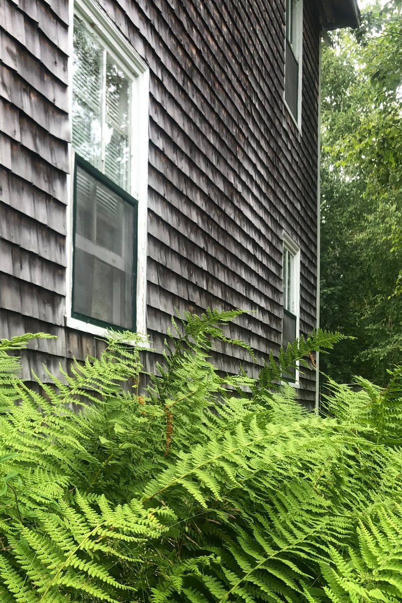 The newest building here was built in the 1930s.  I love the contrast of the gorgeous old buildings and their modern ‘accessories‘. @CPSScience <a href="/mkuensti/">Matt Kuensting</a> <a href="/AudubonCamp/">Hog Island Audubon</a>  <a href="/GrantAllStars/">Grant Elementary</a> <a href="/Szydlowskim/">Mike Szydlowski</a>